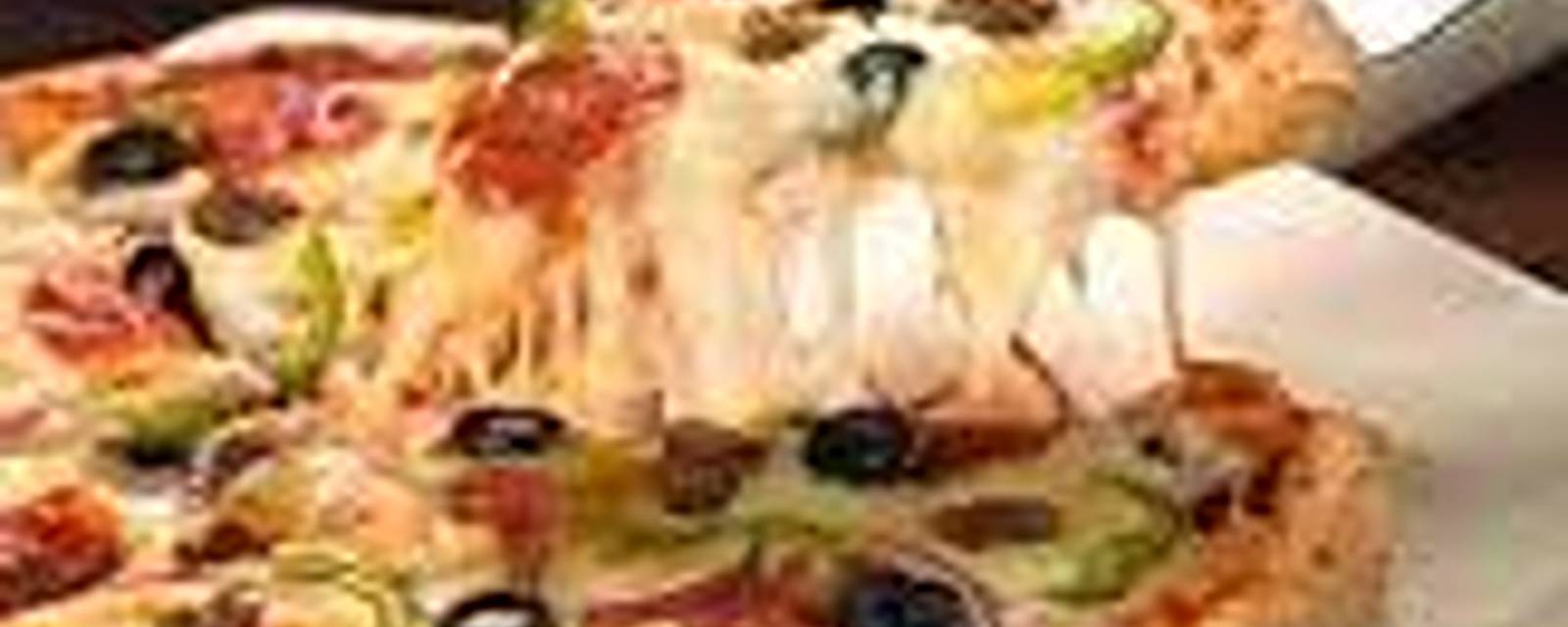 Hungry Point cover